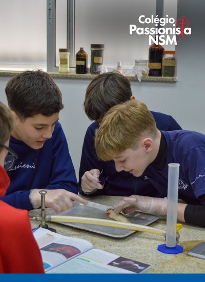 Pr�tica no Laborat�rio! Nossa Senhora Menina