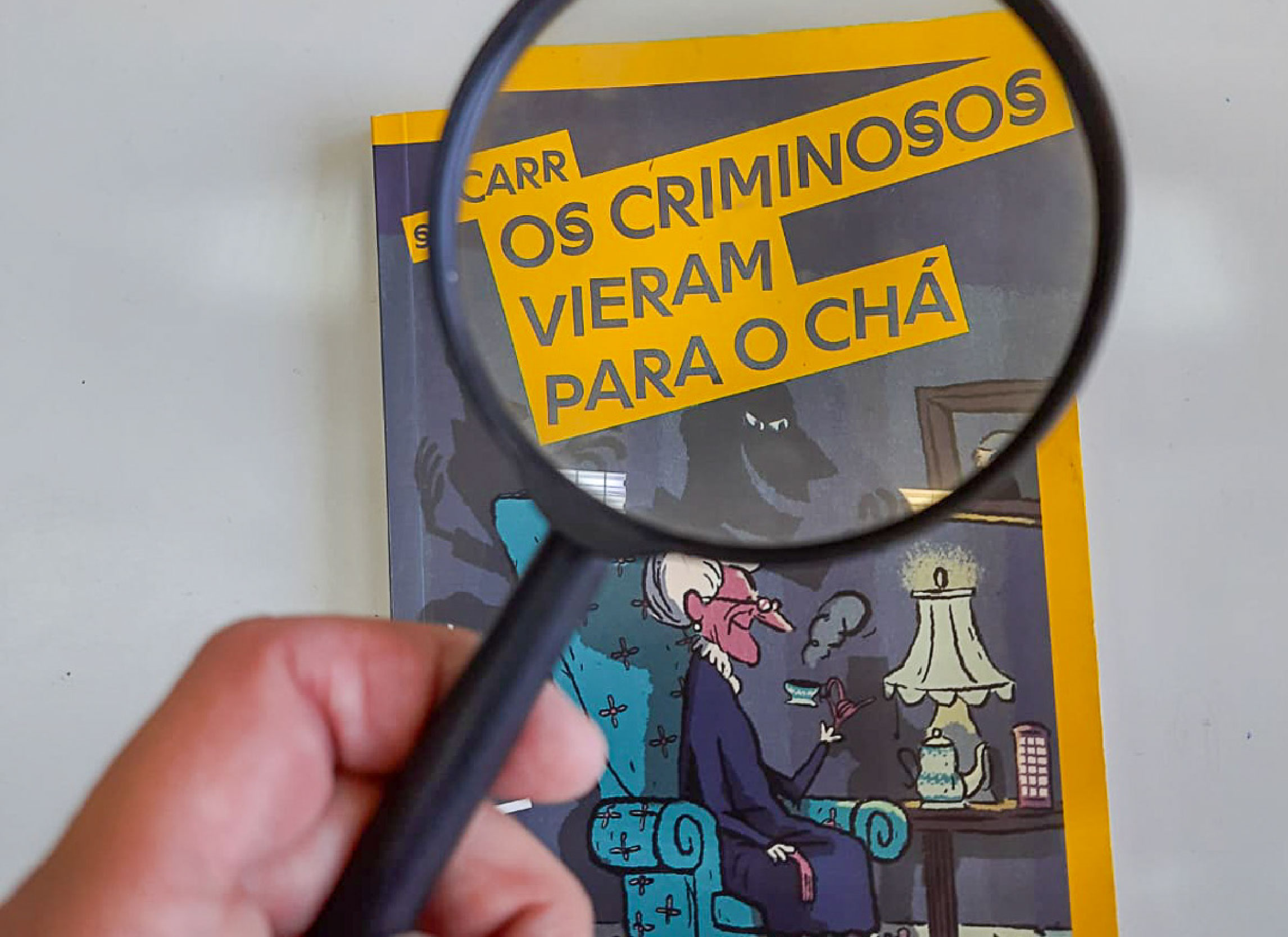 Projeto de leitura: 7 ano! Nossa Senhora Menina