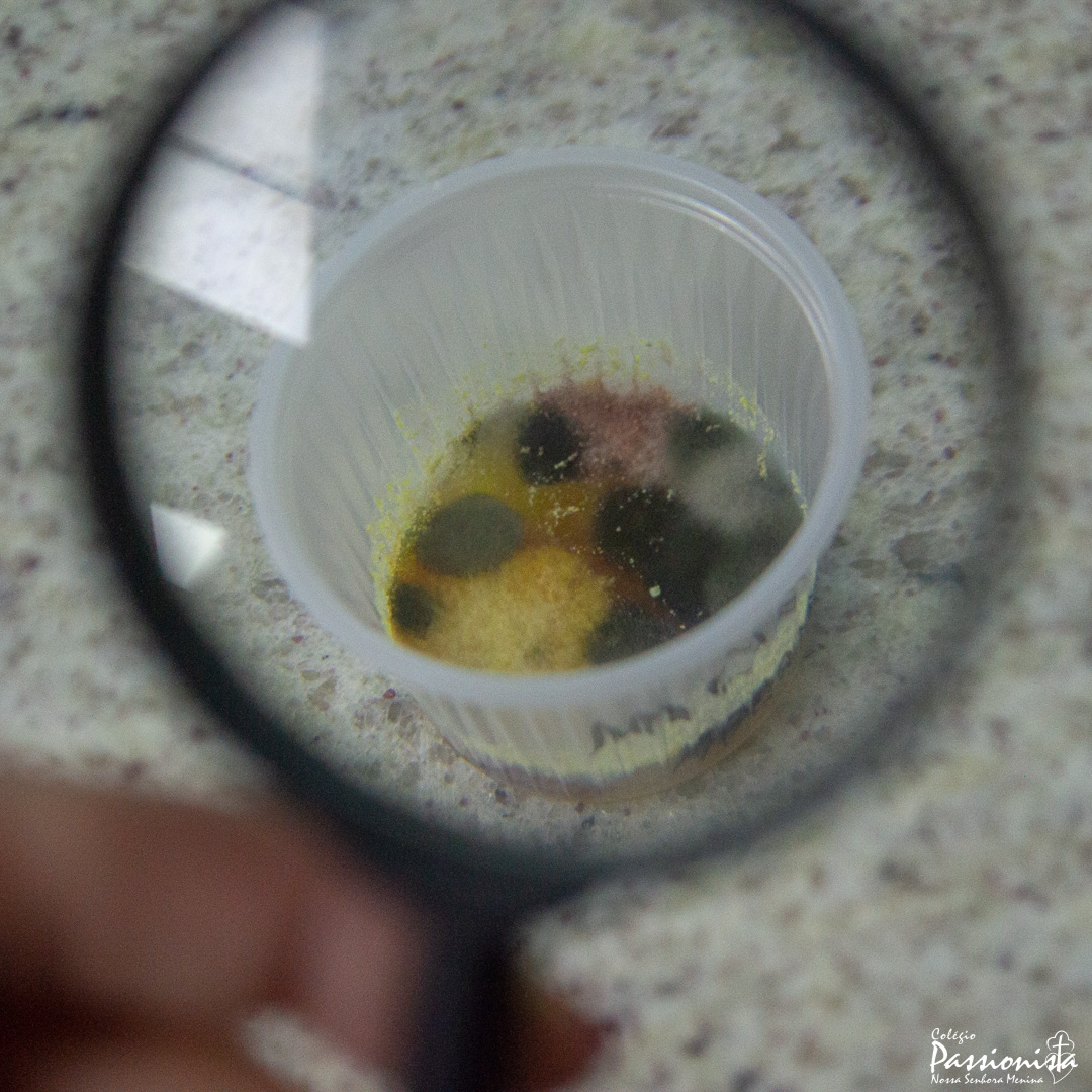 Aula prtica de cincias no laboratrio! Nossa Senhora Menina