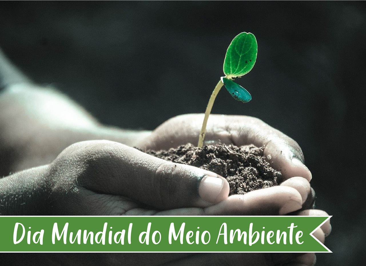 Dia mundial do meio ambiente Nossa Senhora Menina