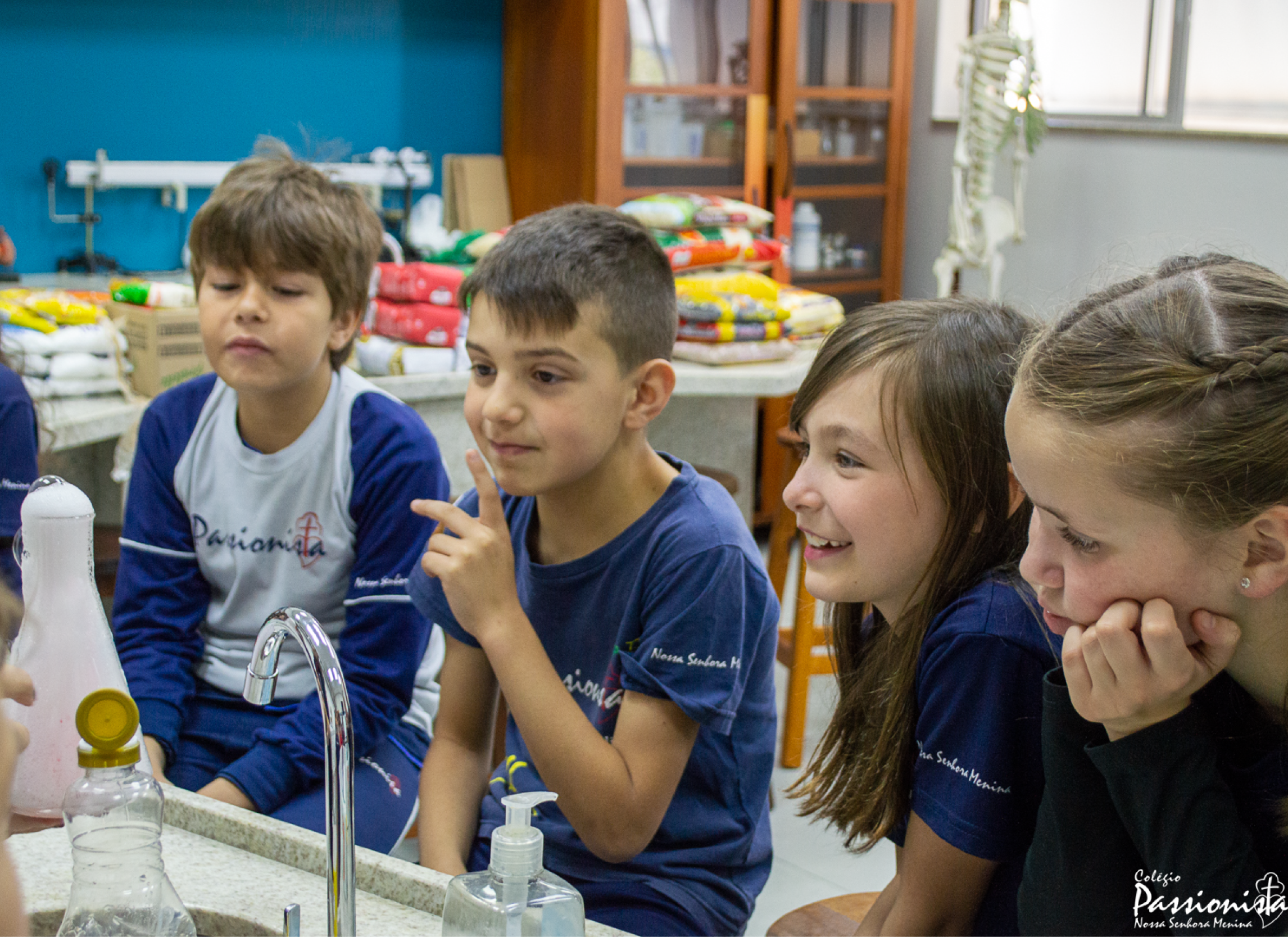 Experimento nas aulas de Lngua Portuguesa e Cincias: 3 ano Nossa Senhora Menina