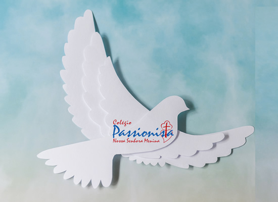 Movimento PAZsionista Nossa Senhora Menina